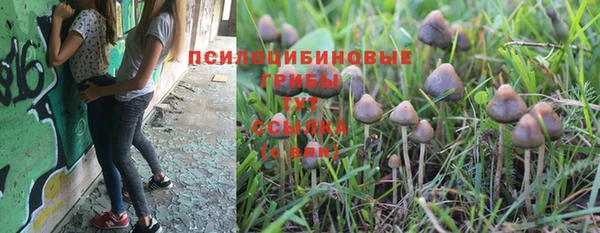 гидропоника Алексин