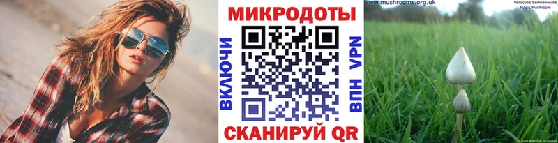 наркошоп  Нарьян-Мар  Псилоцибиновые грибы Cubensis 